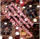 ������� � ����������: ������ �� ���� �������� �������� �����������. ����������, �������, �������� �� ������ �������� ����������� ��������, ���������