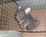 ������� � ����������: ������ �� ���� - ���������� �������