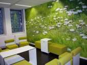 ������ �� ����� �� 240 ���. �/��. ����������, ������� - ������