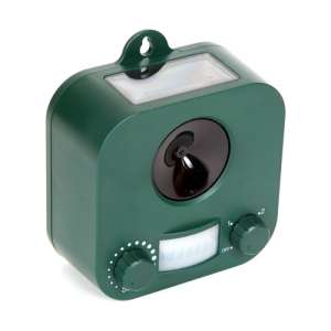 ������ �� ����� �� ������, �������������� ��������� �����, ���� - ����������� 1