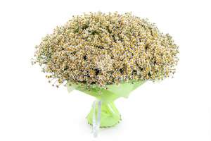 ������ �� ������ - ����������� 1