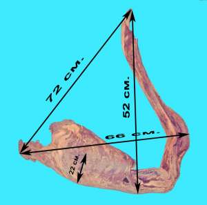 ������ �� ������. - ����������� 1