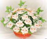 ������ �� ������ ��� �������� �� 1 �������� , ���� �������.. ���������, ����������� - ������