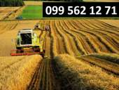 ������� � ����������: ������ �� ������ ��� �������� �������� ����� ������ �������.