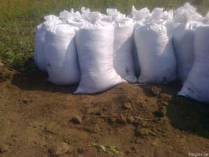 ������ �� ������ �������� � ����� � ������ - ����������� 1