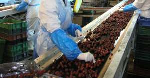 ������ �� ������, ����������� �� ������������ ���������������� ��������� Dawtona. ������ - ����������� 1