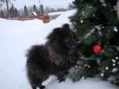 ������ �� ������ ������������ ����� - ����������� 2