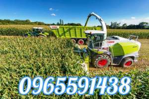 ������ �� ������ ������,������ ���������� �����,������ ���������������,�������������� ��������� �������. - ����������� 1