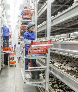 ������ �� �������� �������� / ������ ����� / ��������� - ����������� 1