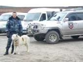 ������ �� �������� ������������ ������������ � ���������� ����� - ����������� 3