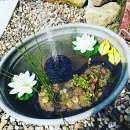 ������� � ����������: ������ �� ��������� ������� ������������