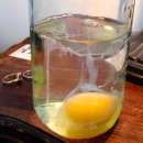 ������ �� ���������� ���������, ������� ������, ����������� ����� � ��������. - ����������� 1