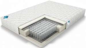 ������ �� ����������� �������� �. ������������� - ����������� 1