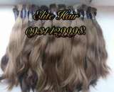 ������� � ����������: ������ �� ����������� ���������� �����. ������ �����. ����������� �����.