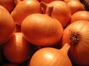 ������ ��� 150 ���� ������ 4-8 �� - ����������� 1