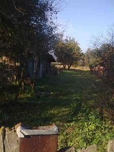 ������ ��� - ����������� 1