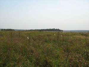 ������ ��� - ����������� 1