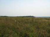 ������ ���. ������� �����/��� - ������������