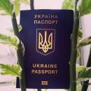 ������� � ����������: ������ ���