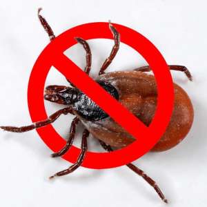 ������ ���! - ����������� 1