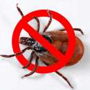 ������� � ����������: ������ ���!