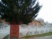 ������ ��� � ����� ��������. ������! - ����������� 2