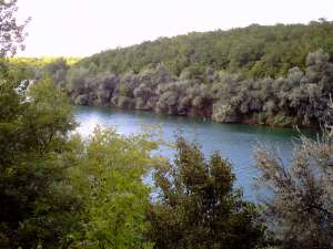 ������ ��� � ��������� ������ ���������������� - ����������� 1