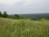 ������ ��� � ��������� ������ ���������������� - ����������� 2