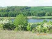 ������ ��� �� ������ �.����. - ����������� 3