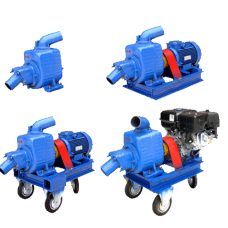 ������ ��� ���� � �������� � ��� - ����������� 1