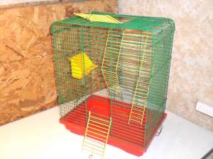 ������ ��� ���� � ��������� - ����������� 1