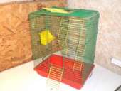 ������� � ����������: ������ ��� ���� � ���������