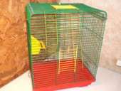 ������ ��� ���� � ��������� - ����������� 2