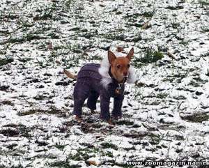 ������ ��� ����� - ����������� 1