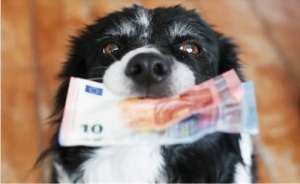 ������ ��� ����� ������������ �� 2 ����.������ ��� ����� �������� ��� 18% �������. - ����������� 1