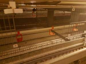 ������ ��� ������ 2009 �. - ����������� 1