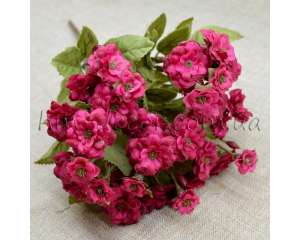 ������ ��� ������ - ����������� 1