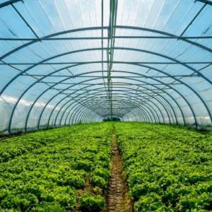 ������ ��� ������ - ����������� 1