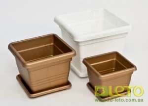 ������ ��� ������, �������, �����, ���������, ������, ���, �������! - ����������� 1