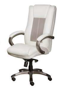 ������ ��� ������� US Medica Chicago - ����������� 1