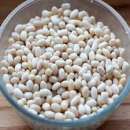 ������� � ����������: ������ ��� ������� �� ���������