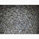 ������ ��� ������� �� ���������. �������� ������� - �������/�������