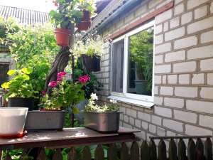 ������ ��� ������� ������ - ����������� 1