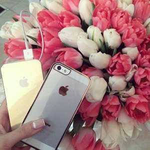 ������ ��� �������. ������� �����. - ����������� 1