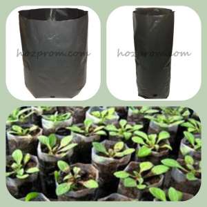 ������ ��� ������� ����������� ������� �������� ������� ��� ������� - ����������� 1