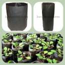 ������ ��� ������� ����������� ������� �������� ������� ��� ������� - ����������� 3