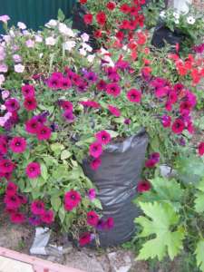 ������ ��� �������� - ����������� 1