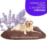 ������ ��� �������� �� ����� �������� ����������������� - ����������� 2