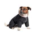 ������� � ����������: ������ ��� �������� �����, ������� �������