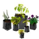 ������� � ����������: ������ ��� ��������: ������ ���� ��������